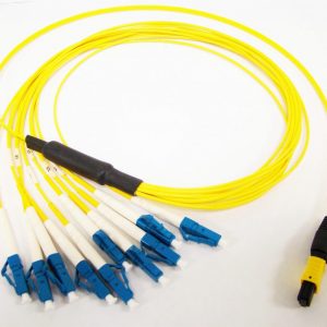 LEAD Technologies Inc. V1.01